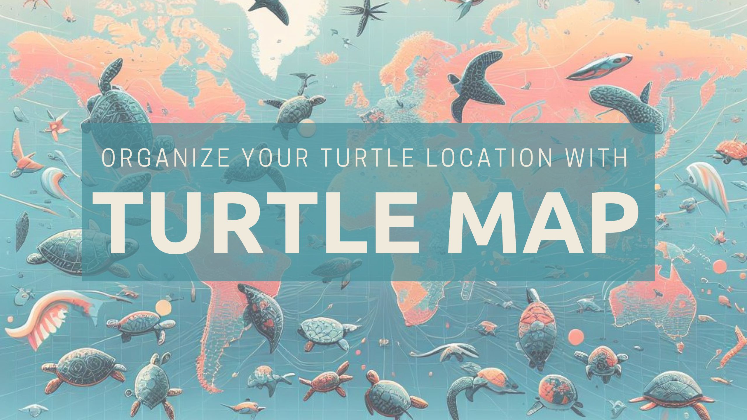 turtle-ai promote image 1